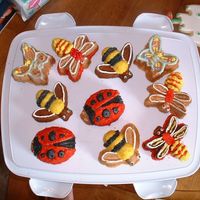 Backyard Bugs I made these cakes using a new pan from WS called "Backyard Bug". they were a lot of fun to make, once I got the hang of the...