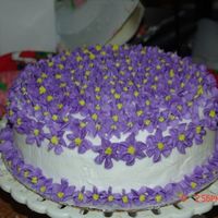 The Cake That Started The "obsession" First cake I ever done with decorator's tips. I fell in love with cake decorating and now I am a Wilton Instructor. I love doing this...