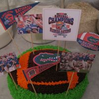 Florida Gator Football Cake I made this cake for my husbands birthday today. I used a football cake pan for the first time. The icing is chocolate and regular...