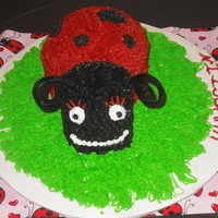 Lady Bug Cake This is my 1st attempt at the lady bug cake done for my daughters 1st b-day party....She looks kinda mean, but I think she's kinda...