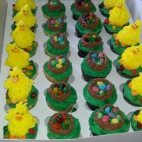 Chicks And Bird Nest Cupcakes I made these for my sons class for Easter. They were vanilla and chocolate fudge. The kids loved them.