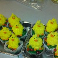 Easter/chick Cupcakes I made these for a cancer benefit dinner for the bake sale portion of it. They were chocolate fudge with peanut butter icing. They were a...
