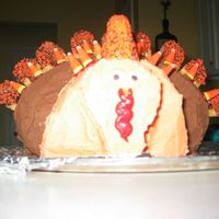 Turkey 3 pieces of cake put together made into a 3D turkey used cookies for "feathers"