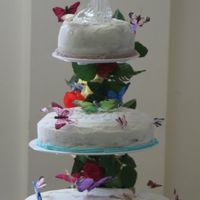 Butterflies A marble cake with Wilton decorator's icing. This was one of 3 cakes I did over the weekend. It was for my cousin's vow renewal...