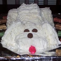 Puppy Just another view of My Pomeranian's birthday cake.