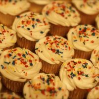 Birthday Cupcakes Buttercream frosted cupcakes to go with airplane birthday cake.