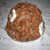 Poop Cake Thanks to jadak for the inspiration for this cake. CC with Choc. buttercream icing. Toilet paper is BC icing, flies are plastic, added...