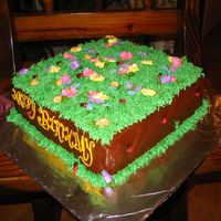 Lady Bugs i think this is my favorite cake!