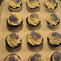 Cupcakes My first decorated cupcakes. Wilton buttercream icing and drop flowers.