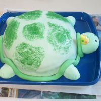 Turtle Birthday Cake Baked in a bowl, torted, and frosted. Covered in fondant and I used green sanding sugar to make the spots. Didn't come out quite like...