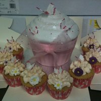 Large And Small Cupcakes 