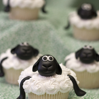 Sheep Cupcakes Lesson learned on these? Never agree to make 36 of anything with legs! lol