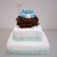 Birds In Waiting Baby shower cake inspired by Lori123456 (from this site - thanks!) and a book by Carol Deacon. All edible except for stck holding the sign...