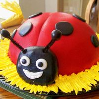 Ladybug Lover Birthday I got the idea for this of here somewhere. Its the Wilton Soccer Ball pan, MMF, head is rice krispie treat I shaped then covered in MMF!...