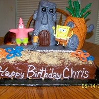 Sponge Bob Bikini Bottom This is pretty much and 11x15 marble fudge cake which I torted' and put Fudge Filling in middle; Chocolate Icing is canned Icing:...