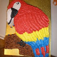 Parrot Birthday A Parrot Birthday cake for an 8 year old. Challenging with the skinny beak area. All buttercream. Chocolate and White Chocolate -- 4 inch...