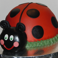 Lady Bug 
