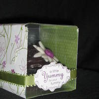 A Little Yummy For Your Tummy 