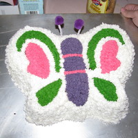 Butterfly Cakes These are the two butterfly cakes I made for my daughter's birthday.