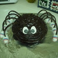 Spider Cake This is my first cake using MMF. I used a soccer ball cake pan, devils food cake mix and chocolate frosting. The legs are made out of...