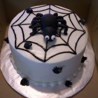 Spiders, Spiders, Spiders 