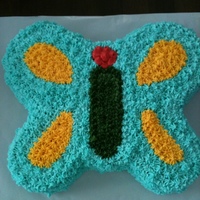 Butterfly Cake 
