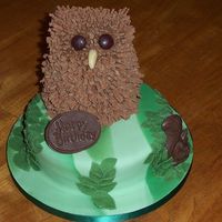 Eric The Owl Cake Eric is made of rice krispie/marshmallow mix shaped with wet hands covered in chocolate b/cream with Cadbury flakes stuck in for feathers...