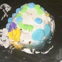 Ethan's Cake My 4 year old son's first decorating experience.