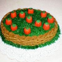 My Pumkin Patch Had left over cake mix and decided I would just make me a litle pumkin patch of my own!!