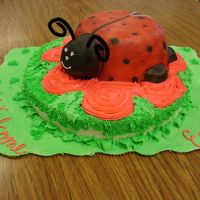 Ladybug Baby Shower 