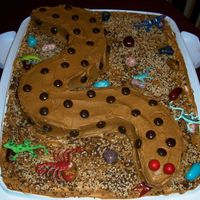 3-D Snake Cake My boyfriend's son loves snakes, so I decided to make him a snake cake as a surprisefor his 9th birthday. Everything is edible except...