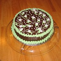 My 1St Decorated Cake This is a chocolate cake, w/bavarian cream filling. I did white drop flowers/w lav. dots, laid on scrolls. The cake is decorated w/green &...