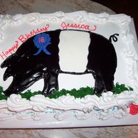 Jessica's Show Pig White & Chocolate sheet cake; buttercream frosting. Pig is made from white ready-to-serve frosting, heated and colored with gel paste...