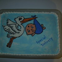 Stork Delivery Stork delivering Baby Boy Bundle