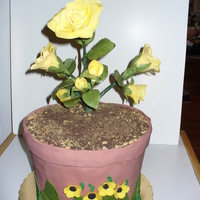 Flower Pot Flower pot is Chocolate cake with vanilla BCC, roses are gum paste.