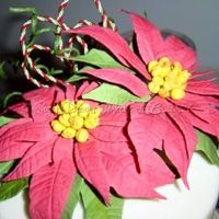 Poinsettias Gumpaste poinsettias that I made for a holiday party! These were my first offical gumpaste flowers (did fondant/gumtex before), and I am so...