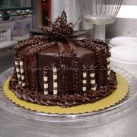 Ganache Cake Death by Chocolate at it's worst! Four layers of chocolate cake with chocolate whipped topping as the filling. Cake was then iced in...