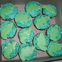 Gator Cupcakes white choc. gators with bc icing & choc. sprinkles & green sugar sprinkles