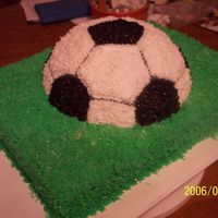 100_0922.jpg did this cake as a favor for the lady that did the wedding cake, she was too stressed to do both.