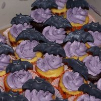 Cupcake With Bats Cupcakes filled with Vanilla Cream and iced with IMBC. Bats are handmade from fondant.