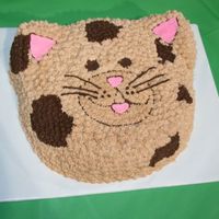 Diego's Baby Jaguar My son's 3rd birthday cake. Baby Jaguar from Go Diego Go. If I was to do this again I would have added more spots. Buttercream over...