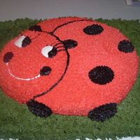 Ladybug My very first character/theme cake EVER!!! I am so proud of it. What do you all think??