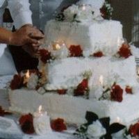 Robin & Chris This cake was for my niece's wedding in Dec 2004.