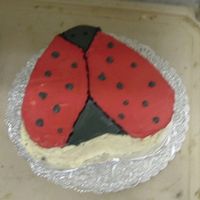 Ladybug Cake When my niece got married, she requested a carrot cake (which I had never had done as a 'wedding cake' before). I talked her out...