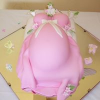 Pregnat Belly My first Pregnat Belly.