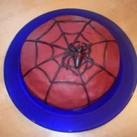 Creepy Spider Cake This is my first project ever - it's for my Godson's 10th birthday and I'm really excited about his reaction:-) I've...