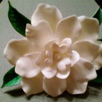 Gardenia From my Wedding Flower Class with Scott Clark Woolley