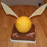 Golden Snitch This was a collaborative effort between my husband and I. Our son wanted a Golden Snitch cake for his birthday in 2007. I used color flow...