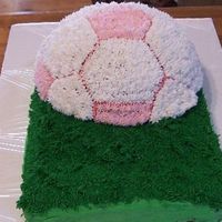100_3517.jpg This is a cake for my 7 year old daughter!She chose the color for the ball! My hands sure got tierd from this sucker!I had to cheat and use...