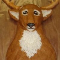 Deer Head Cake This cake was carved from an 11x15 sheet cake and a 3-D egg cake. It is iced in buttercream with fondant eyes and nose. The antlers are...